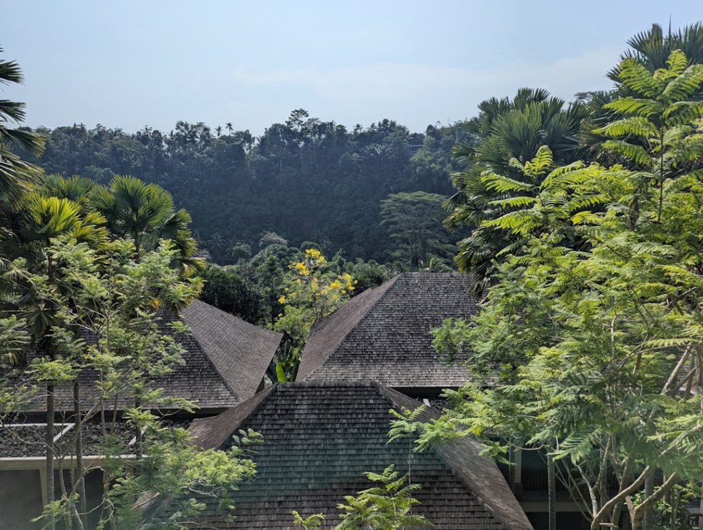 A group of huts in the middle of a forest